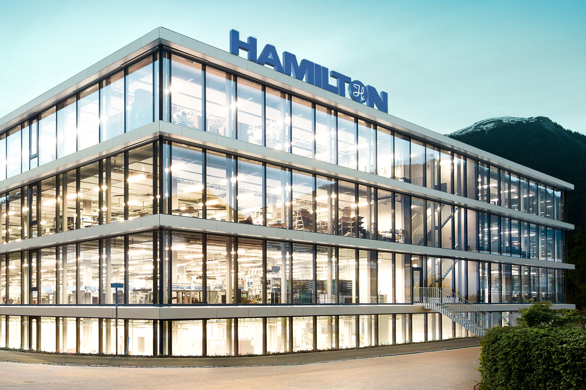 Hamilton Company — Einblick