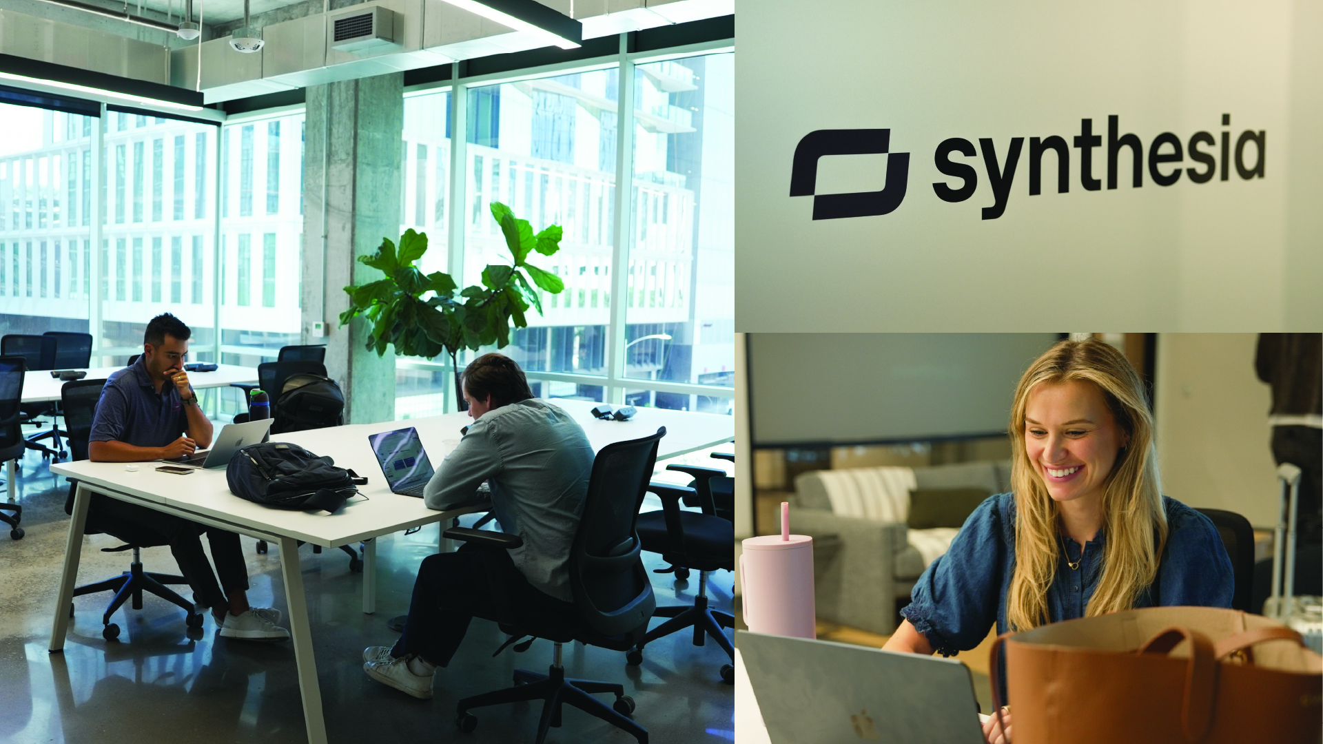 Synthesia Ltd — Einblick