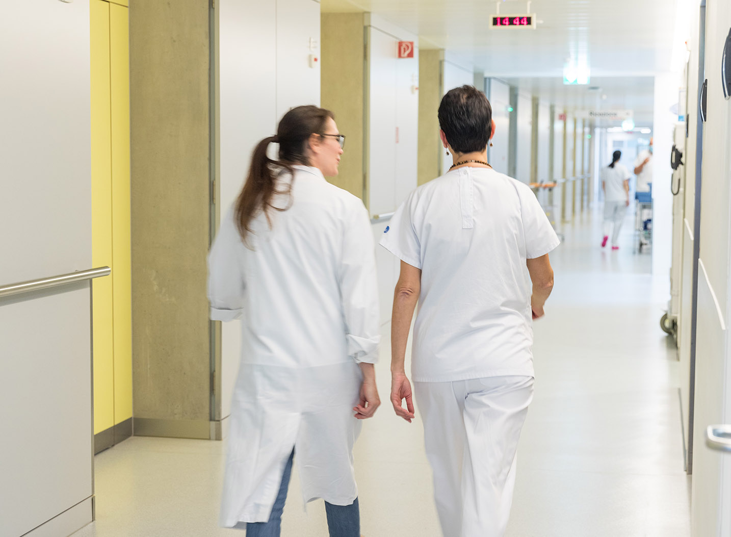 Ente Ospedaliero Cantonale (EOC) — Einblick