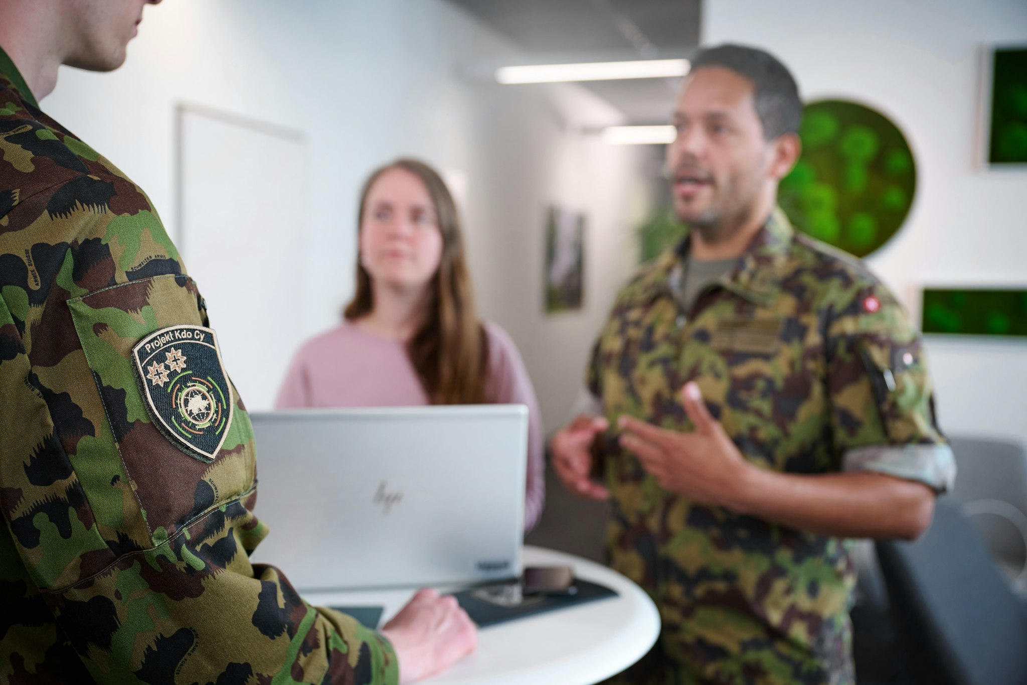 Schweizer Armee — Einblick