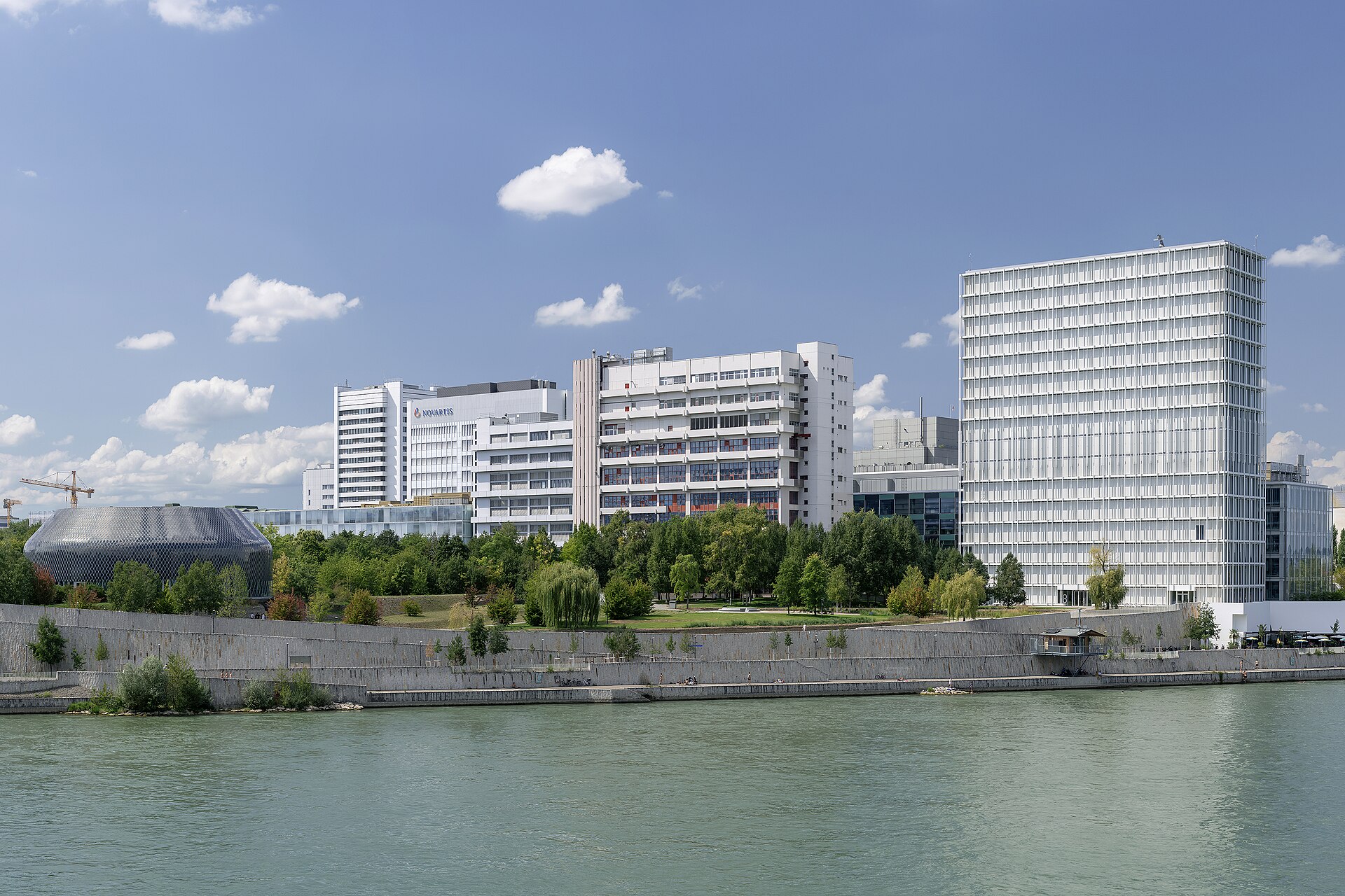 Novartis AG — Einblick